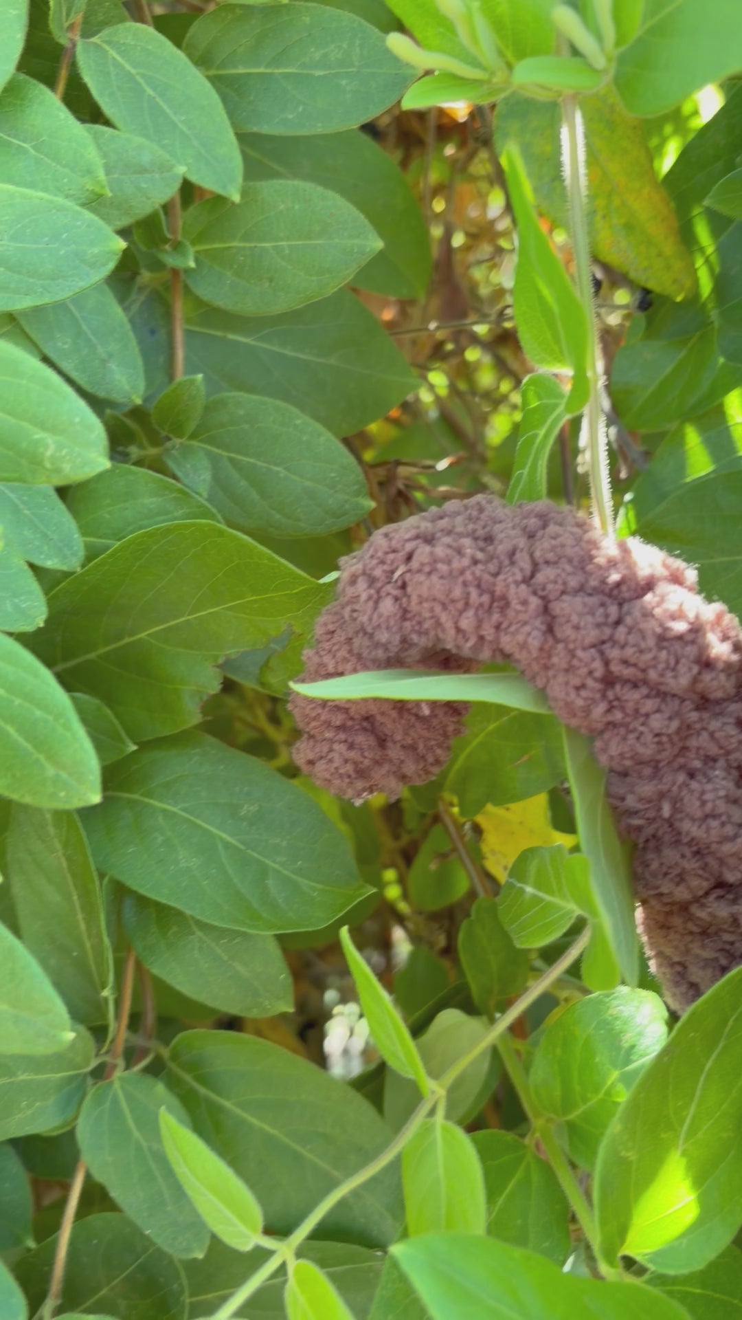 Mini Monkey Pattern | Chunky Hand Knit Stuffed Animal Tutorial